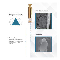 EndoRoad RG (정방향)