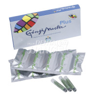 GingiMaster Plus Refill (연두색)