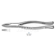 Extraction Forceps #17001 (1)