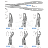 [재고문의] Extraction Forcep (Asian Type) #상악