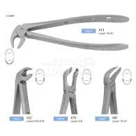 [재고문의] Extraction Forcep (Asian Type) #하악