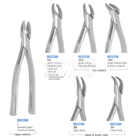 Extraction Forcep