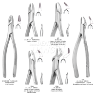 Extracting Forceps #상악 절치,견치,소구치