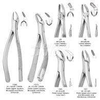 Pedodontic Patterns Forceps #소아용