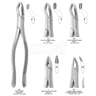 Extracting Forceps #상악