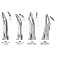 Root Forceps