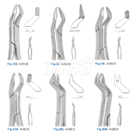 [H.ZEPF] Extracting Forceps #상악대구치