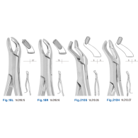 [H.ZEPF] Extracting Forceps #상악대구치