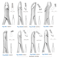 [H.ZEPF] Split Beaks Serrated (톱니형)