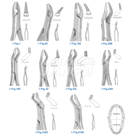 Extracting Forceps #상악