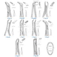 Extracting Forceps #하악