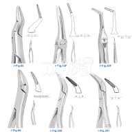 Root Forceps