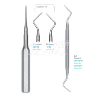 Root Tip Pickers #Howard