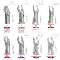 Extracting Forceps #상악대구치