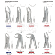 Extracting Forceps #상하악 전치,소구치