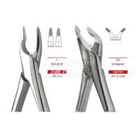 Apical Forceps