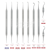 Discoid-Cleoids Carvers