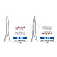 Root Forceps