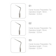 Endo Tip (엔도용)