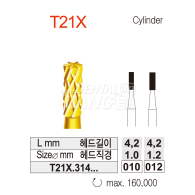 Amalgam Remover #T21X