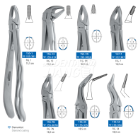 Dental Forcep 155