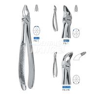 Dental Forcep 120