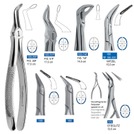 Root Forcep 100,164,166,168,168,175