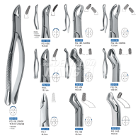 Dental Forcep 250 (상악)