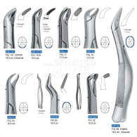 Dental Forcep 250 (하악)