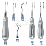 Apical Elevator 790