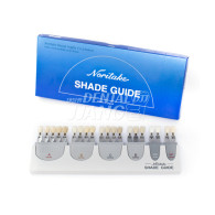 Noritake Shade Guide Set