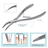 Root Forcep #17073 (전치부)