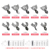 DentiAnn Adult Tray (유공)