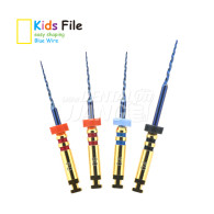 Kids File Blue (Controlled Memory File)