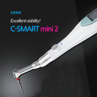 C-Smart Mini 2