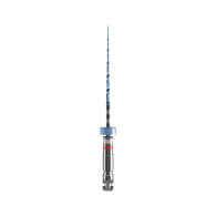 XP-endo Rise Glider