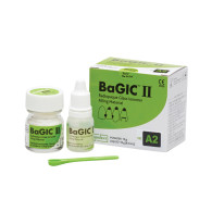 BaGIC II