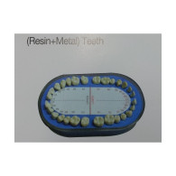 Teeth #KM-010 (Resin+Metal)