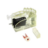 Endo Training Kit